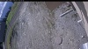 Web Cam Image - Mon, 05/11/2026 7:59am PDT