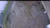 Web Cam Image - Thu, 05/14/2026 4:04pm PDT
