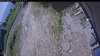Web Cam Image - Mon, 07/06/2026 11:05am PDT