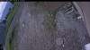 Web Cam Image - Thu, 06/11/2026 11:19am PDT