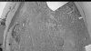 Web Cam Image - Sat, 06/20/2026 8:14pm PDT