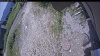 Web Cam Image - Tue, 07/07/2026 11:35am PDT