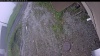 Web Cam Image - Sun, 06/07/2026 3:49am PDT