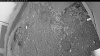 Web Cam Image - Sat, 06/27/2026 3:44am PDT