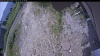 Web Cam Image - Tue, 07/07/2026 11:29am PDT