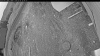 Web Cam Image - Sat, 05/09/2026 7:44pm PDT