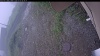 Web Cam Image - Fri, 07/03/2026 7:14am PDT