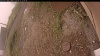 Web Cam Image - Mon, 09/15/2025 10:54am PDT