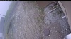 Web Cam Image - Wed, 05/13/2026 12:34pm PDT
