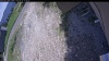 Web Cam Image - Sat, 06/13/2026 11:59am PDT