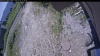 Web Cam Image - Tue, 07/07/2026 11:19am PDT