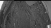 Web Cam Image - Tue, 05/05/2026 3:59am PDT