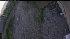 Web Cam Image - Fri, 06/19/2026 7:04pm PDT