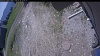 Web Cam Image - Thu, 05/28/2026 11:24am PDT