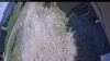 Web Cam Image - Sat, 06/13/2026 11:49am PDT