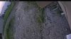 Web Cam Image - Sat, 06/20/2026 7:49pm PDT