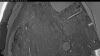 Web Cam Image - Mon, 05/18/2026 4:14am PDT