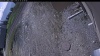 Web Cam Image - Sun, 05/10/2026 9:34am PDT