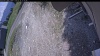 Web Cam Image - Wed, 05/20/2026 12:04pm PDT