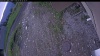 Web Cam Image - Mon, 06/08/2026 4:49am PDT