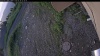 Web Cam Image - Sun, 06/28/2026 3:54am PDT