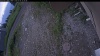 Web Cam Image - Sat, 07/04/2026 8:45am PDT