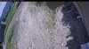 Web Cam Image - Sat, 06/13/2026 11:39am PDT