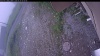 Web Cam Image - Mon, 06/29/2026 4:29am PDT