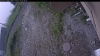 Web Cam Image - Wed, 07/01/2026 6:49am PDT