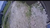 Web Cam Image - Tue, 07/07/2026 10:59am PDT