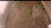 Web Cam Image - Mon, 09/15/2025 10:24am PDT
