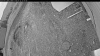 Web Cam Image - Fri, 05/22/2026 7:54pm PDT