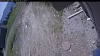 Web Cam Image - Thu, 05/28/2026 11:04am PDT