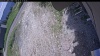 Web Cam Image - Sat, 06/13/2026 11:29am PDT