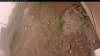 Web Cam Image - Mon, 09/15/2025 10:19am PDT