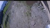 Web Cam Image - Tue, 06/02/2026 8:29am PDT