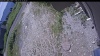 Web Cam Image - Tue, 07/07/2026 10:44am PDT