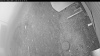 Web Cam Image - Wed, 05/06/2026 4:09am PDT