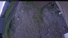 Web Cam Image - Mon, 06/08/2026 4:24am PDT