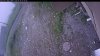 Web Cam Image - Mon, 06/29/2026 4:09am PDT