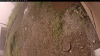 Web Cam Image - Mon, 09/15/2025 10:09am PDT