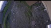 Web Cam Image - Sun, 05/31/2026 4:34am PDT