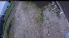 Web Cam Image - Mon, 07/06/2026 9:59am PDT