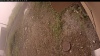 Web Cam Image - Mon, 09/15/2025 10:04am PDT