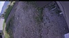 Web Cam Image - Thu, 06/18/2026 5:54pm PDT