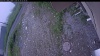 Web Cam Image - Mon, 06/29/2026 3:59am PDT