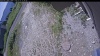 Web Cam Image - Tue, 07/07/2026 10:29am PDT