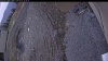 Web Cam Image - Mon, 03/25/2024 11:04am PDT