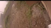 Web Cam Image - Mon, 09/15/2025 9:59am PDT