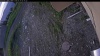 Web Cam Image - Sun, 05/31/2026 4:24am PDT